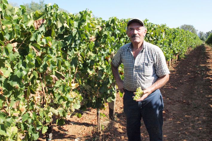 Romeo Licul, vinar iz Nedešćine.