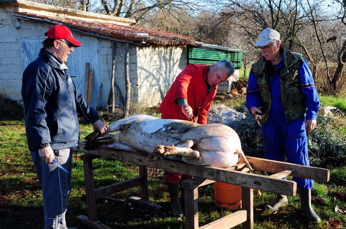 Đani Vlačić i braća Mirko i Branko Špada